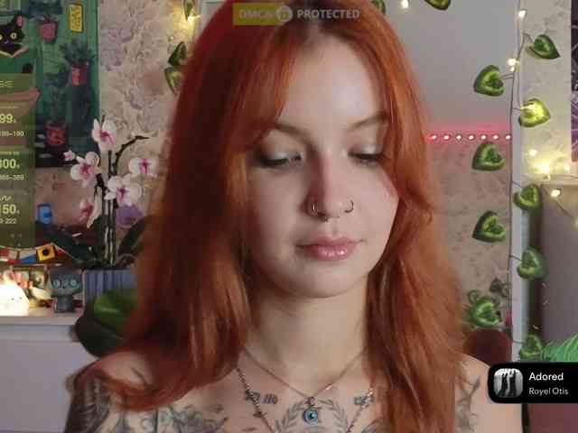 LisLy webcam