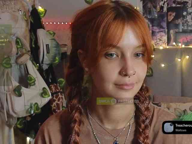 LisLy webcam