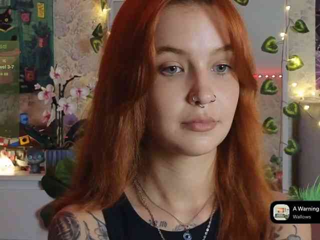 LisLy webcam