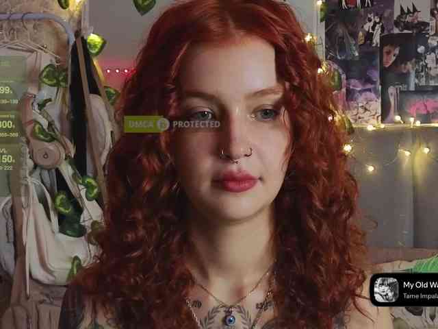 LisLy webcam