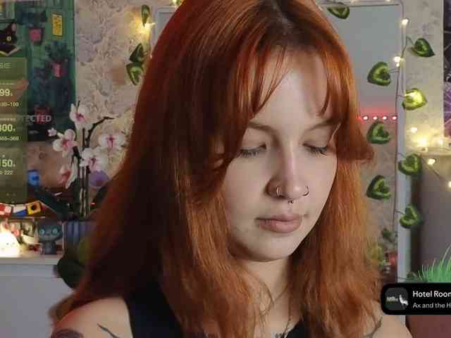 LisLy webcam