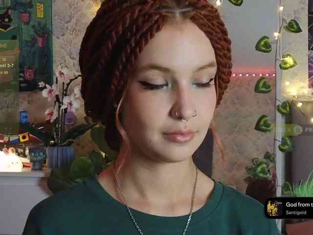 LisLy webcam