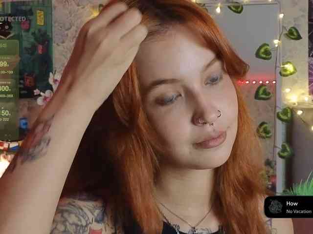 LisLy webcam