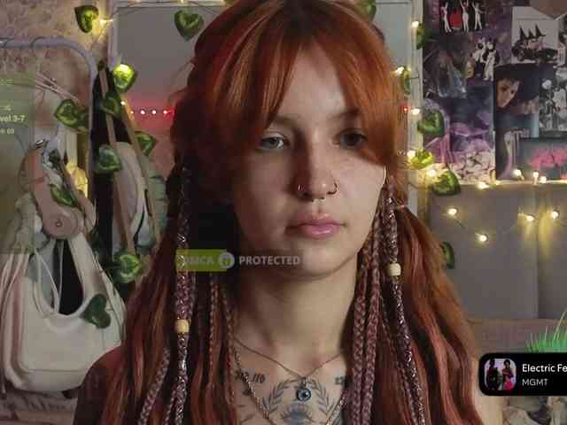 Модель: LisLy