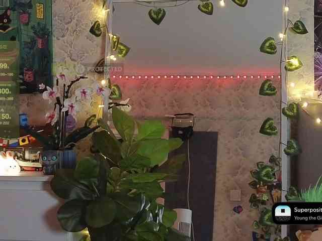 LisLy webcam