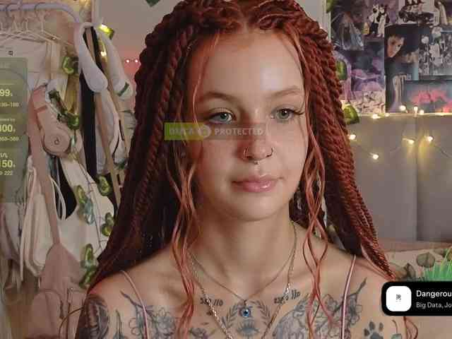 LisLy webcam