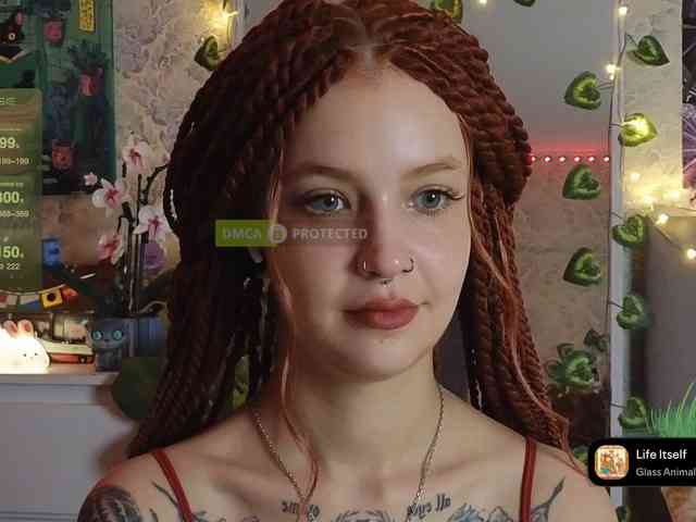 LisLy webcam