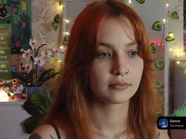 LisLy webcam