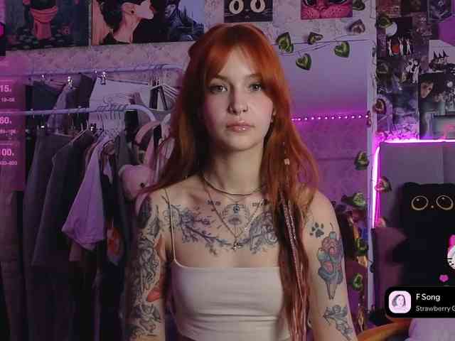 LisLy webcam