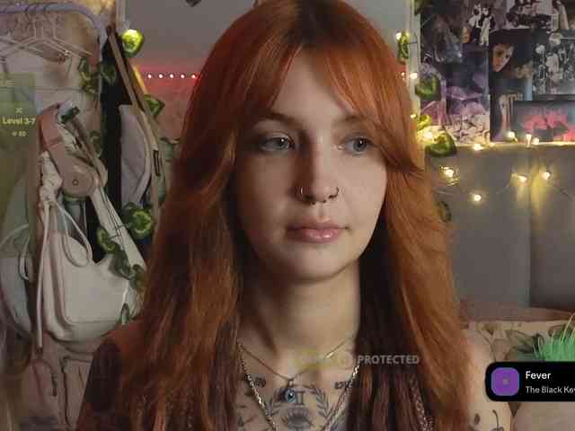 LisLy webcam