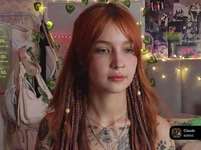 LisLy webcam