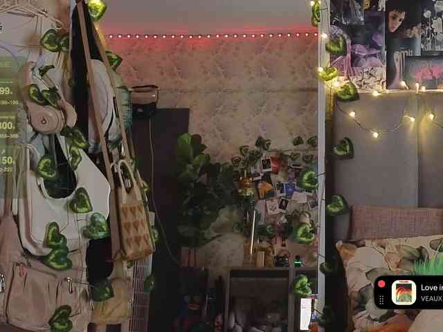 LisLy webcam
