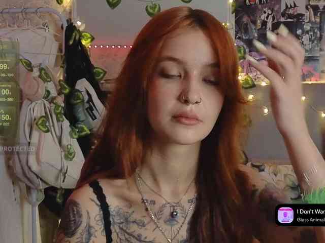 LisLy webcam