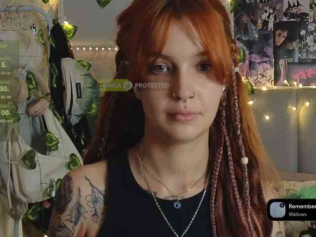LisLy webcam