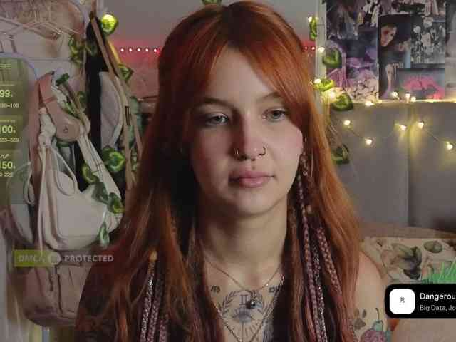 LisLy webcam