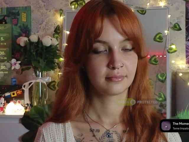 LisLy webcam