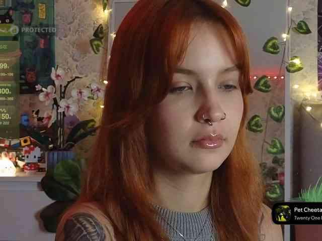 LisLy webcam