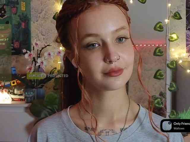 LisLy webcam