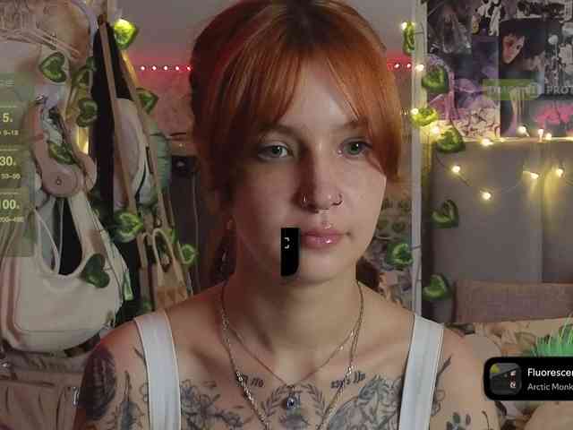 LisLy webcam