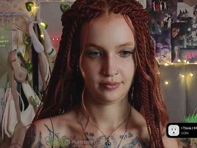 LisLy webcam