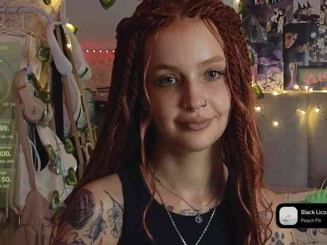 LisLy webcam