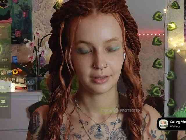 LisLy webcam