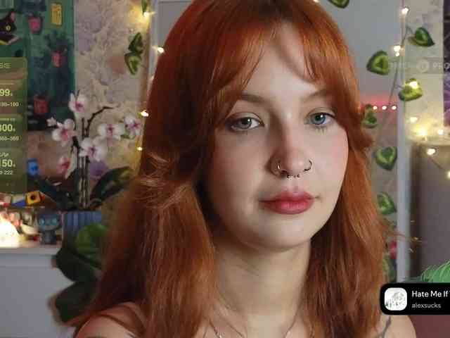 LisLy webcam