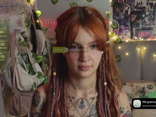 LisLy webcam
