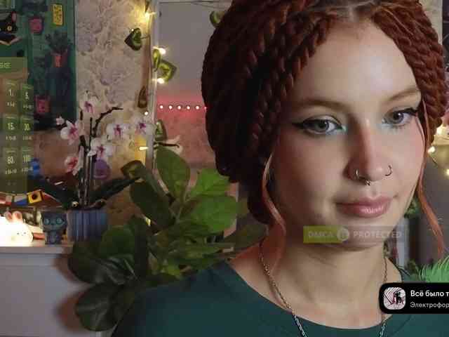 LisLy webcam