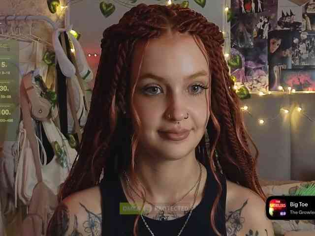 LisLy webcam