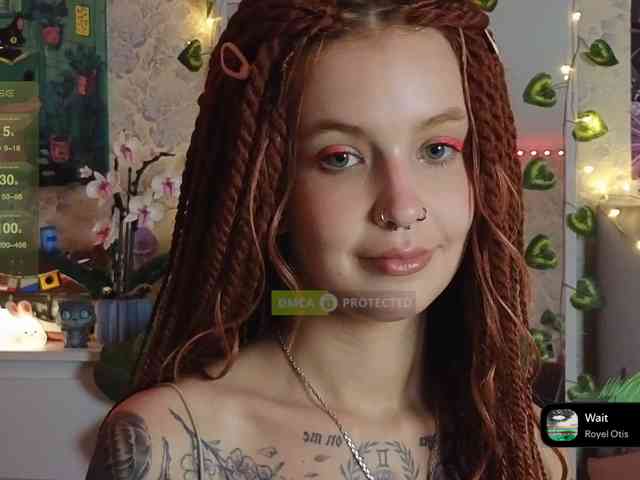 LisLy webcam