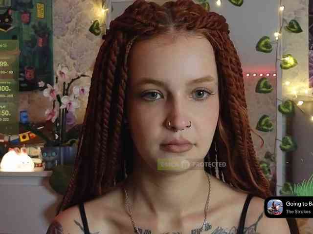 LisLy webcam