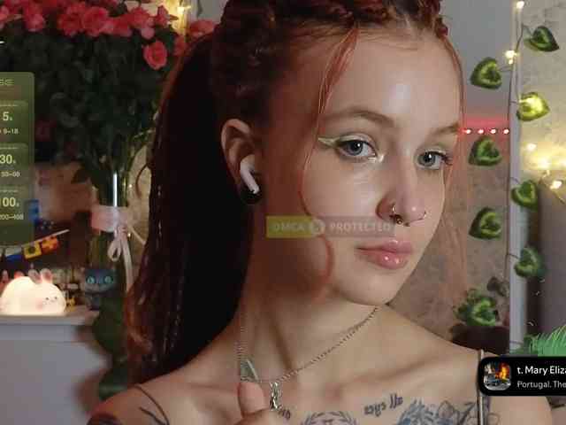 LisLy webcam