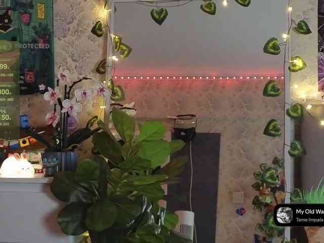 LisLy webcam