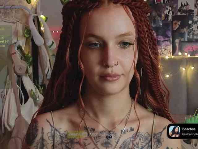 LisLy webcam