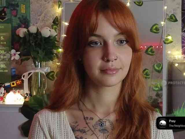 LisLy webcam