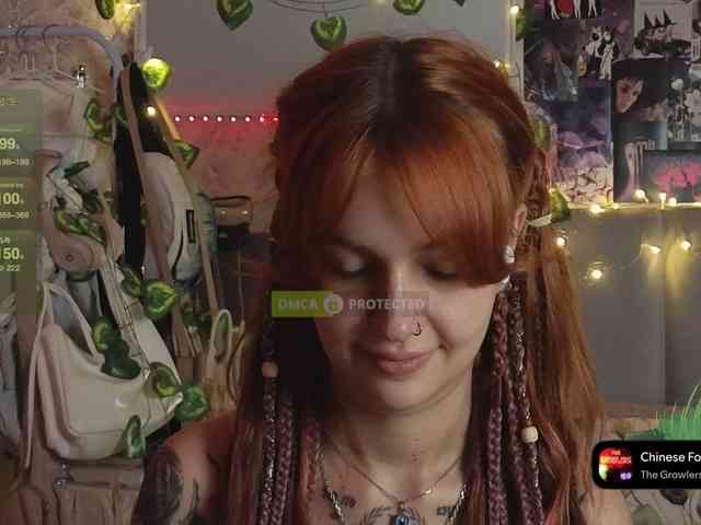 LisLy webcam
