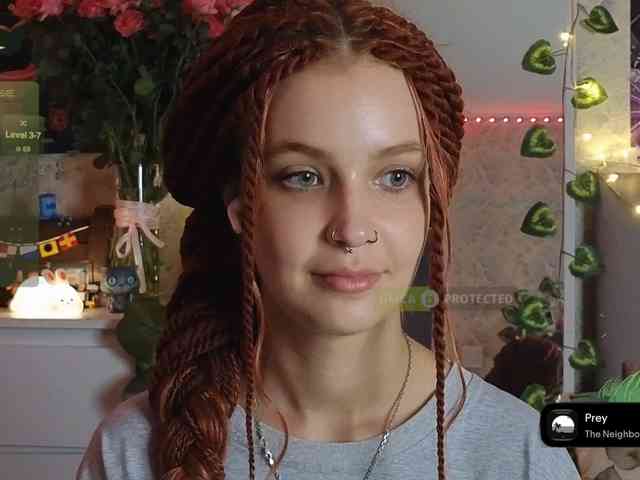LisLy webcam