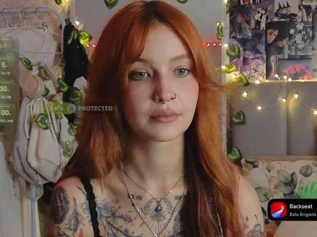 LisLy webcam
