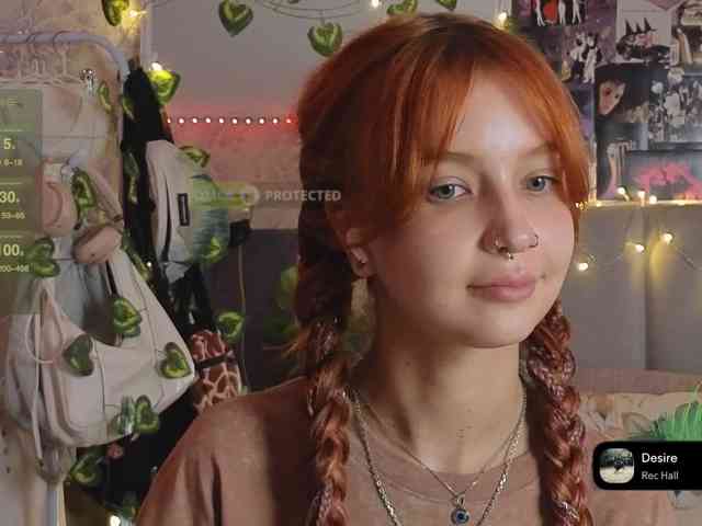 LisLy webcam