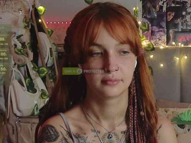 LisLy webcam
