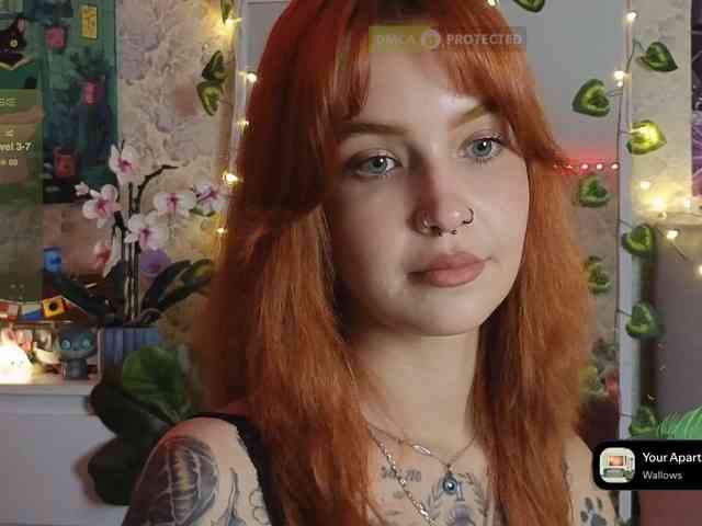 LisLy webcam