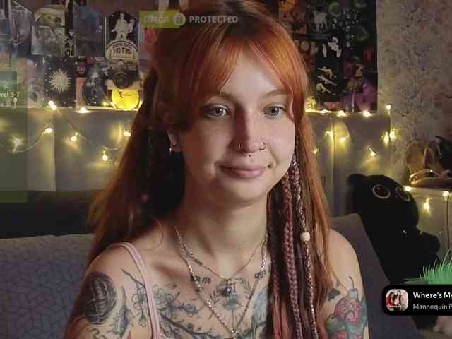 LisLy webcam
