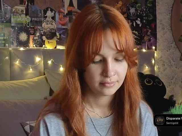 LisLy webcam