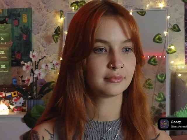 LisLy webcam