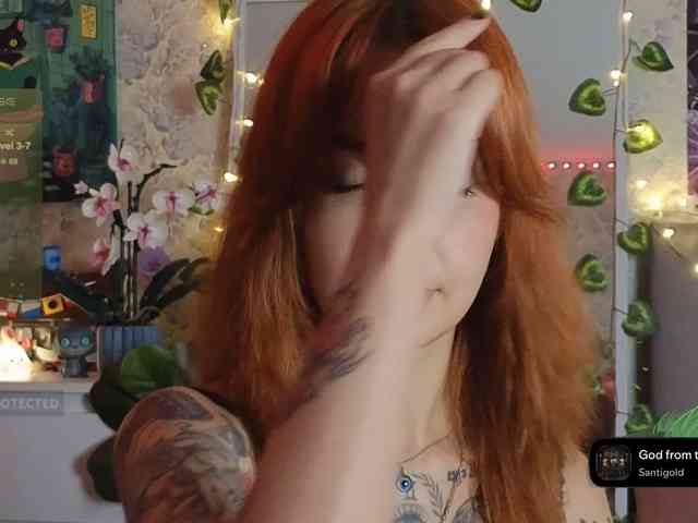 LisLy webcam