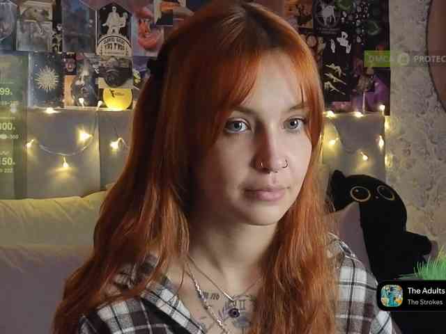 Модель: LisLy