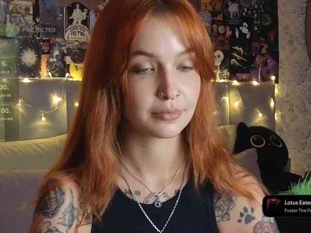 LisLy webcam