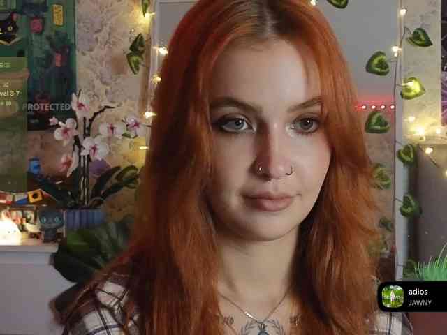 LisLy webcam