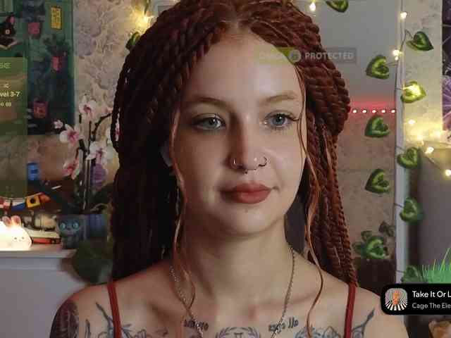 LisLy webcam